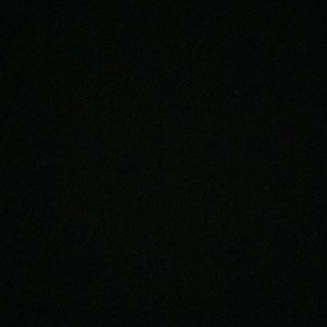 Meet your Posher, Maddie